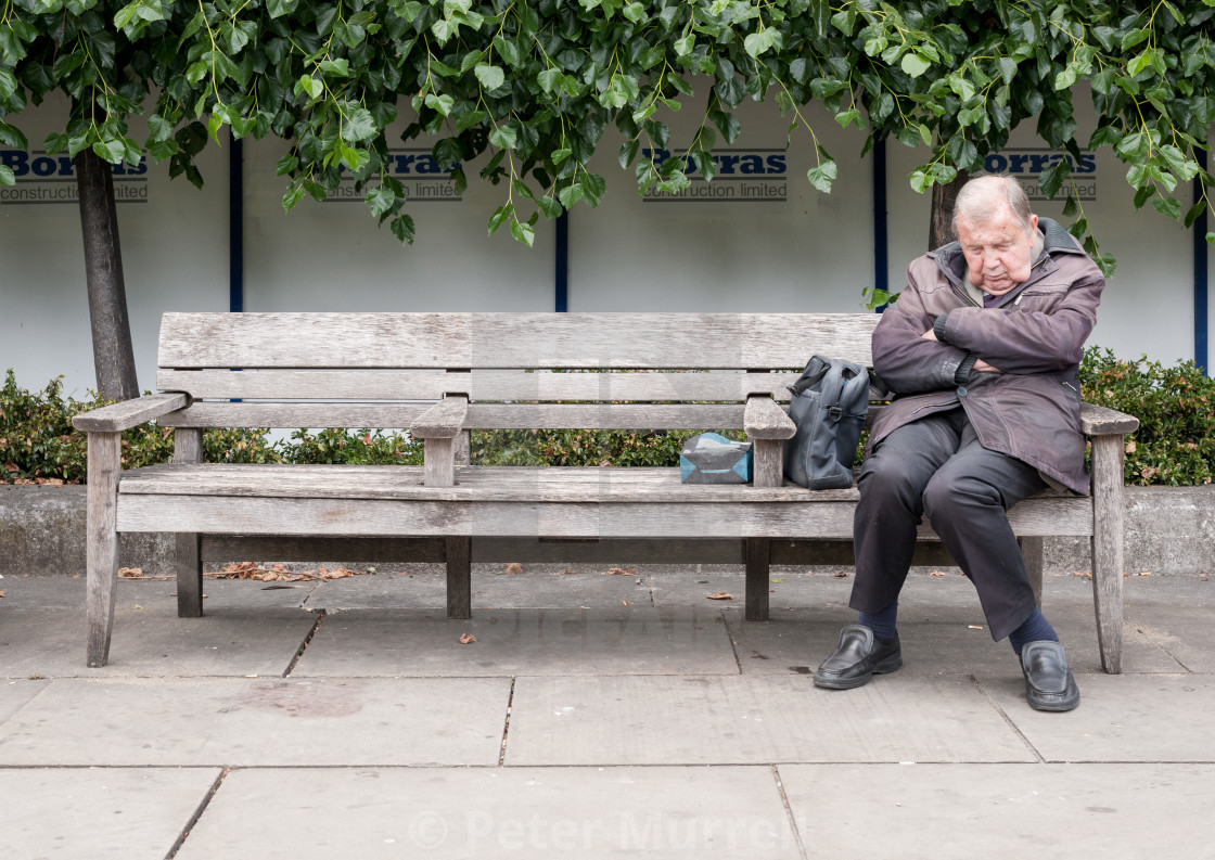 "Sleepy Head II" by Peter Murrell - £9.99 "Sleepy Head II" stock image