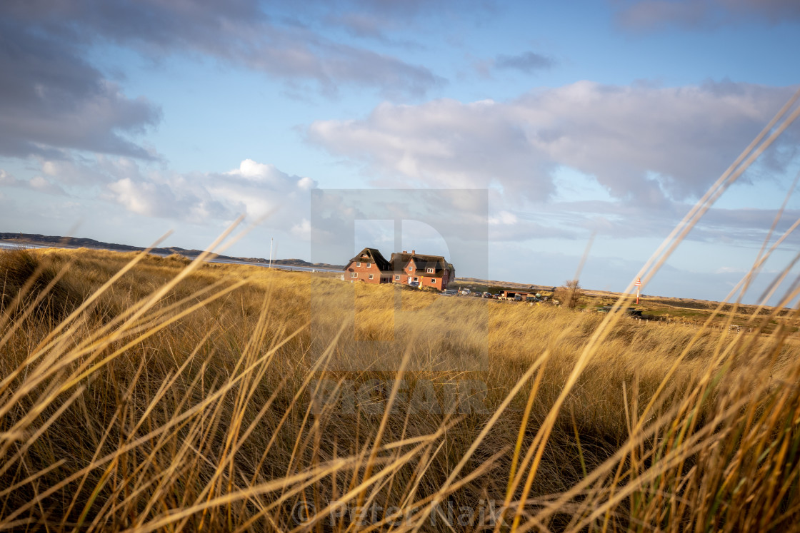 "House amongst the tussock" by Peter Naik - $22.93 "House amongst the tussock" stock image
