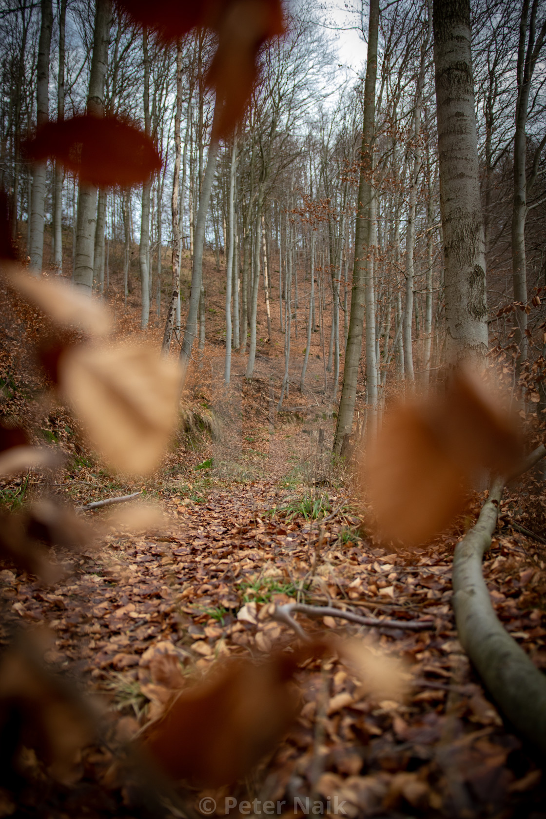 "Bad Lauterberg in Winter" by Peter Naik - $22.93 "Bad Lauterberg in Winter" stock image