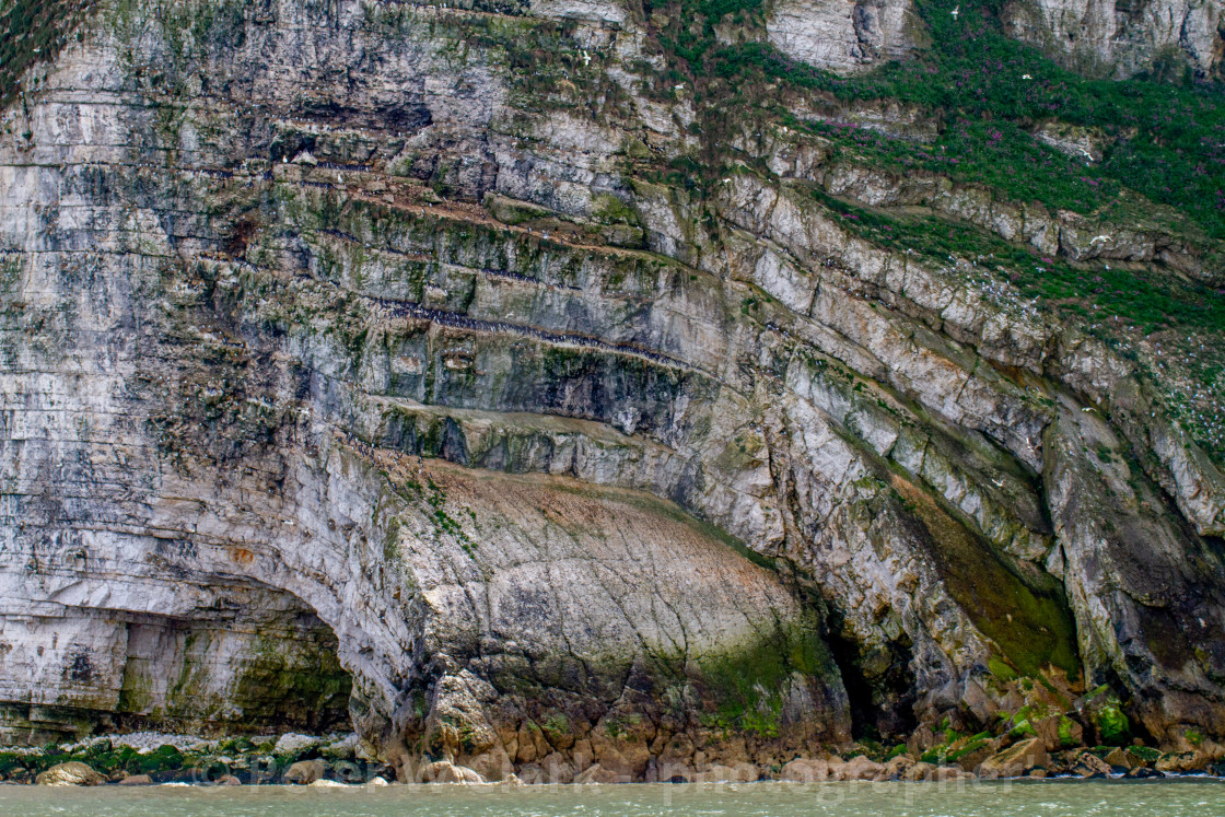"Bempton Cliffs, Near Scale Nab, Dipping and Folded Strata" stock image