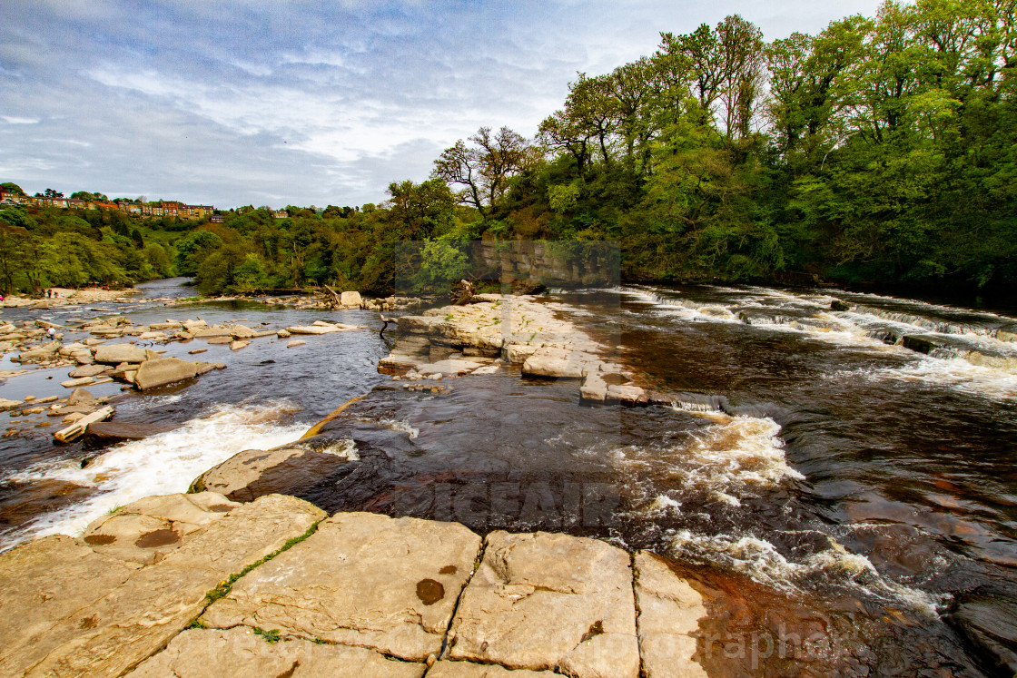 "Richmond, North Yorkshire, Ricmond Waterfalls, River Swale." by Peter W. Clark - 'photographer' - £10.00 "Richmond, North Yorkshire, Ricmond Waterfalls, River Swale." stock image