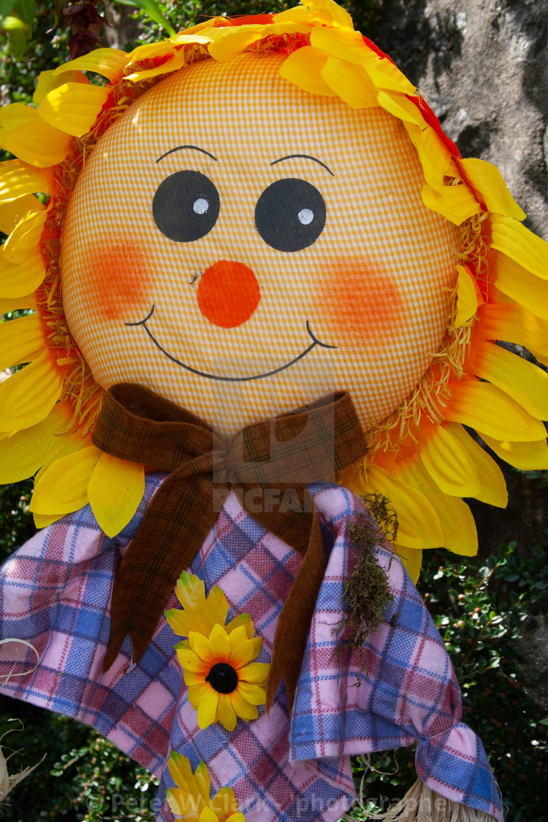 from £7.00
