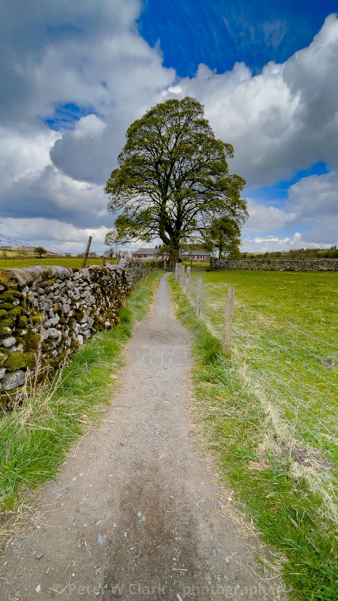 "Dales Way Footpath near Burnsall, Yorkshire Dales." stock image