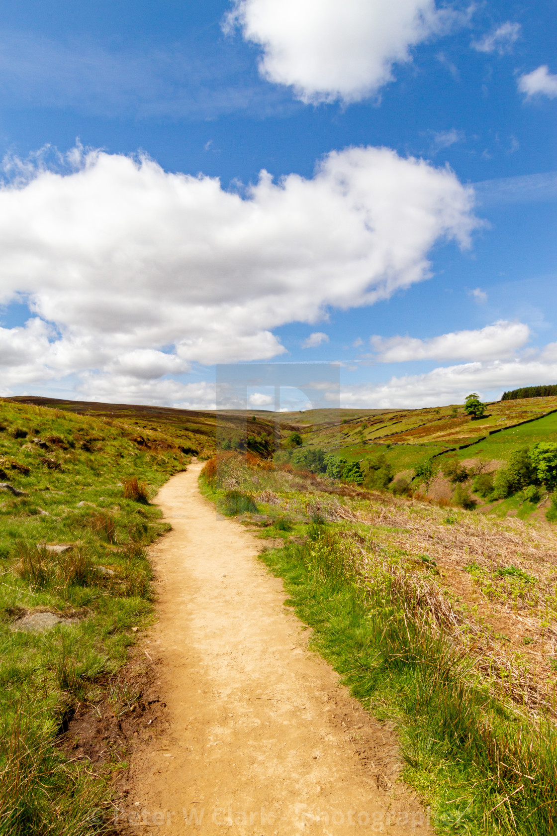 "Bronte Country, Footpath, The Bronte Way to Top Withens, a Derelict Farmhouse," by Peter W. Clark - 'photographer' - £10.00 "Bronte Country, Footpath, The Bronte Way to Top Withens, a Derelict Farmhouse," stock image