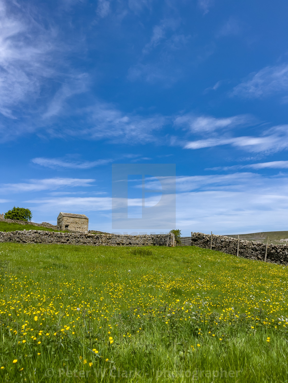 "Swaledale Wild Flower Meadow and Field Barn." by Peter W. Clark - 'photographer' - £12.00 "Swaledale Wild Flower Meadow and Field Barn." stock image