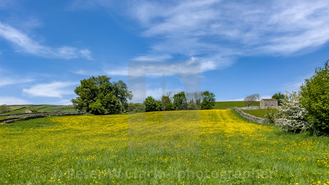 "Swaledale Wild Flower Meadow and Field Barn near Reeth." by Peter W. Clark - 'photographer' - £15.00 "Swaledale Wild Flower Meadow and Field Barn near Reeth." stock image