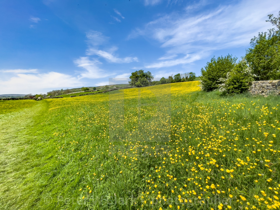 "Swaledale Wild Flower Meadow and Footpath near Reeth." by Peter W. Clark - 'photographer' - £15.00 "Swaledale Wild Flower Meadow and Footpath near Reeth." stock image