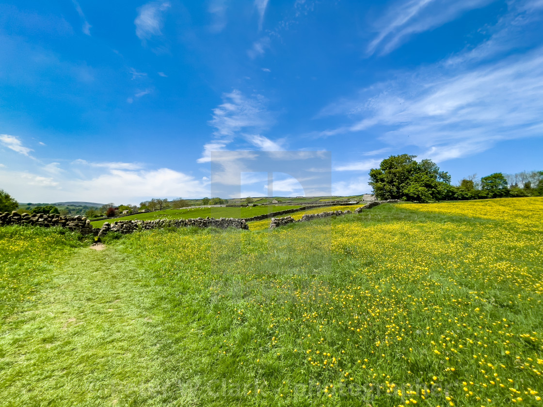 "Swaledale Wild Flower Meadow and Footpath near Reeth." by Peter W. Clark - 'photographer' - £15.00 "Swaledale Wild Flower Meadow and Footpath near Reeth." stock image