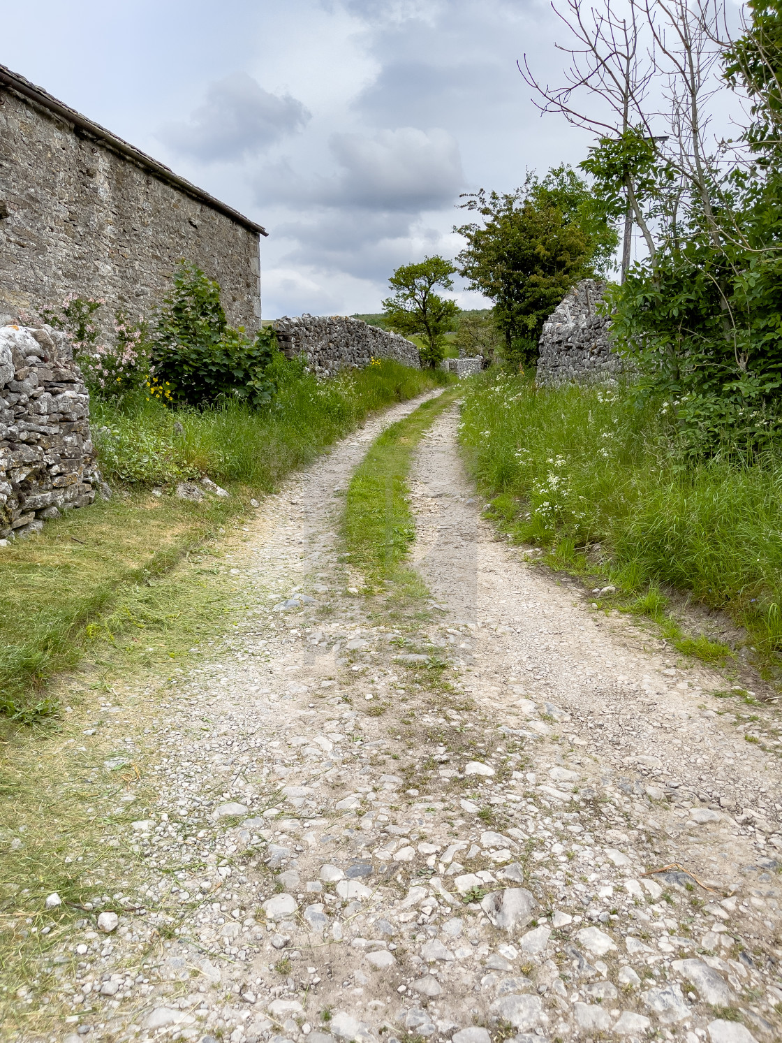 "Grassington, Track, Lane. Yorkshire Dales." by Peter W. Clark - 'photographer' - £5.00 "Grassington, Track, Lane. Yorkshire Dales." stock image