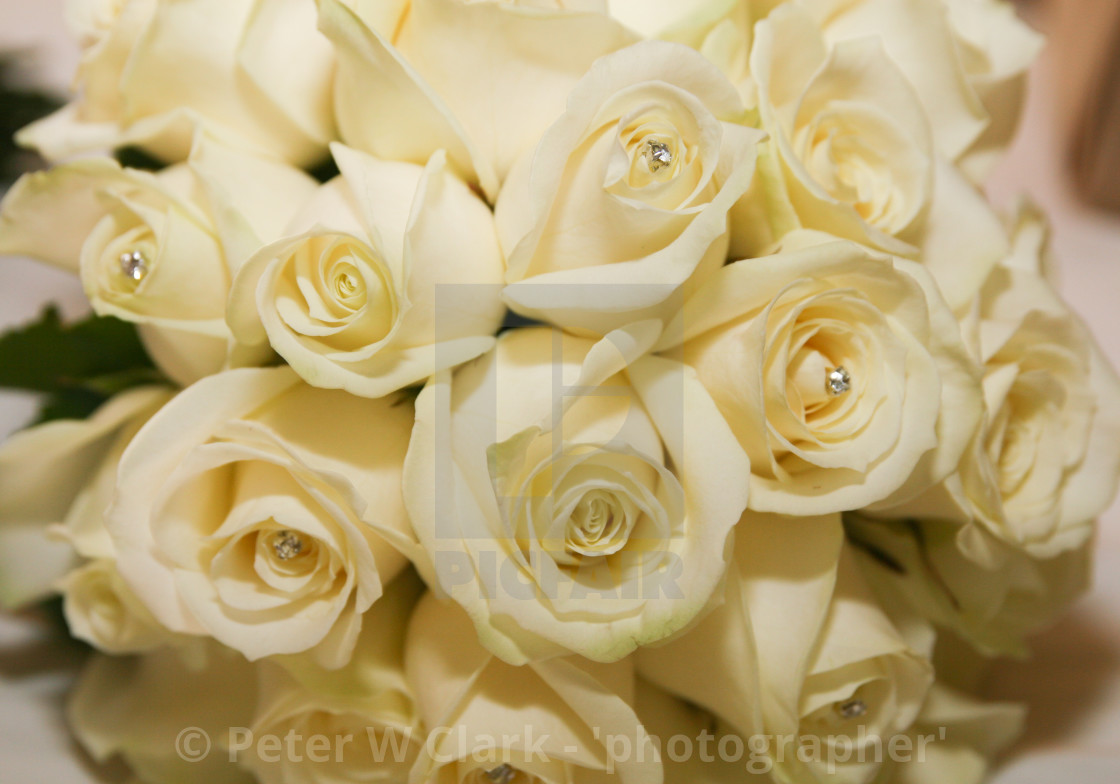 from £5.00