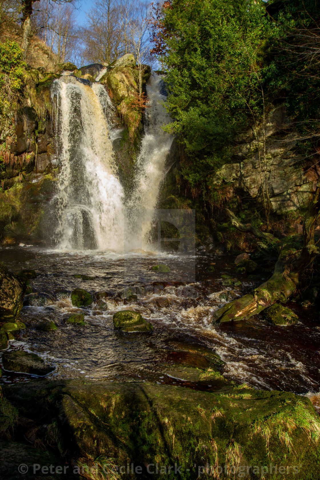 "Posforth Gill Falls, Bolton Abbey Estate" stock image