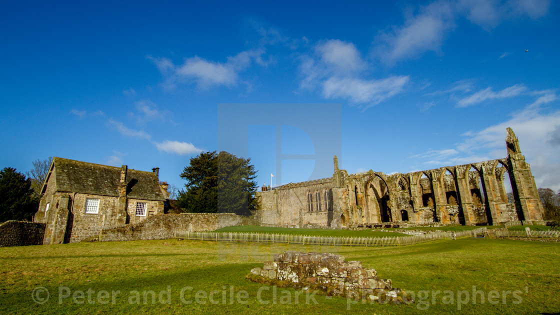 "Bolton Abbey Augustinian Priory a historical ruin and tourist attraction by the side of the River Wharfe in the beautiful Yorkshire Dales." stock image