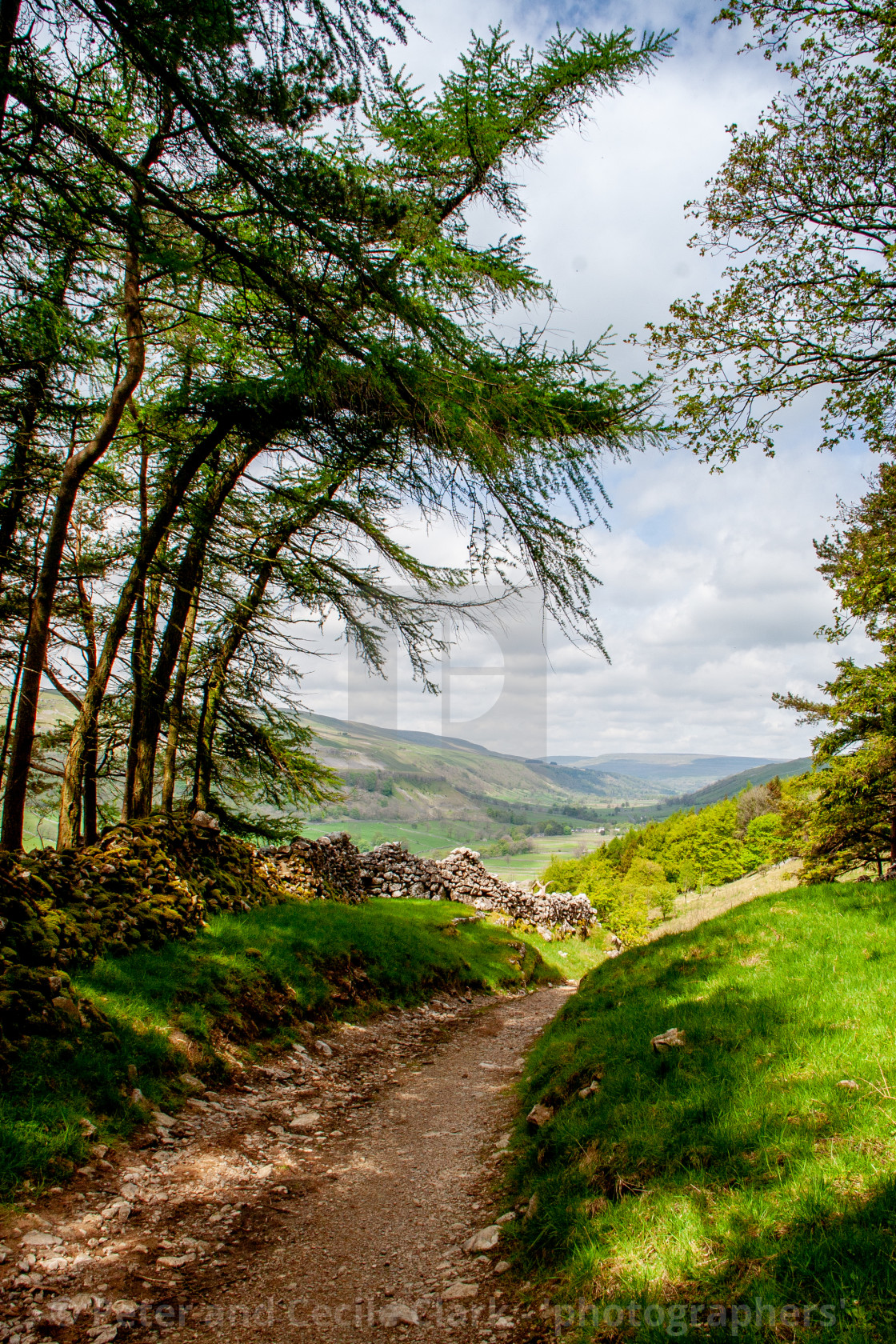 "Dales Way Walk from Grassington looking north towards Kettlewell" stock image