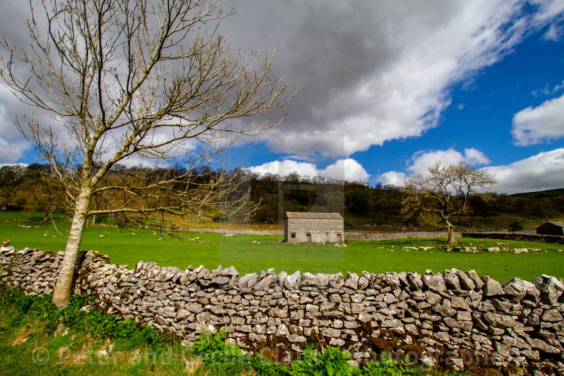 "Traditional Field Barn in The Yorkshire Dales" stock image