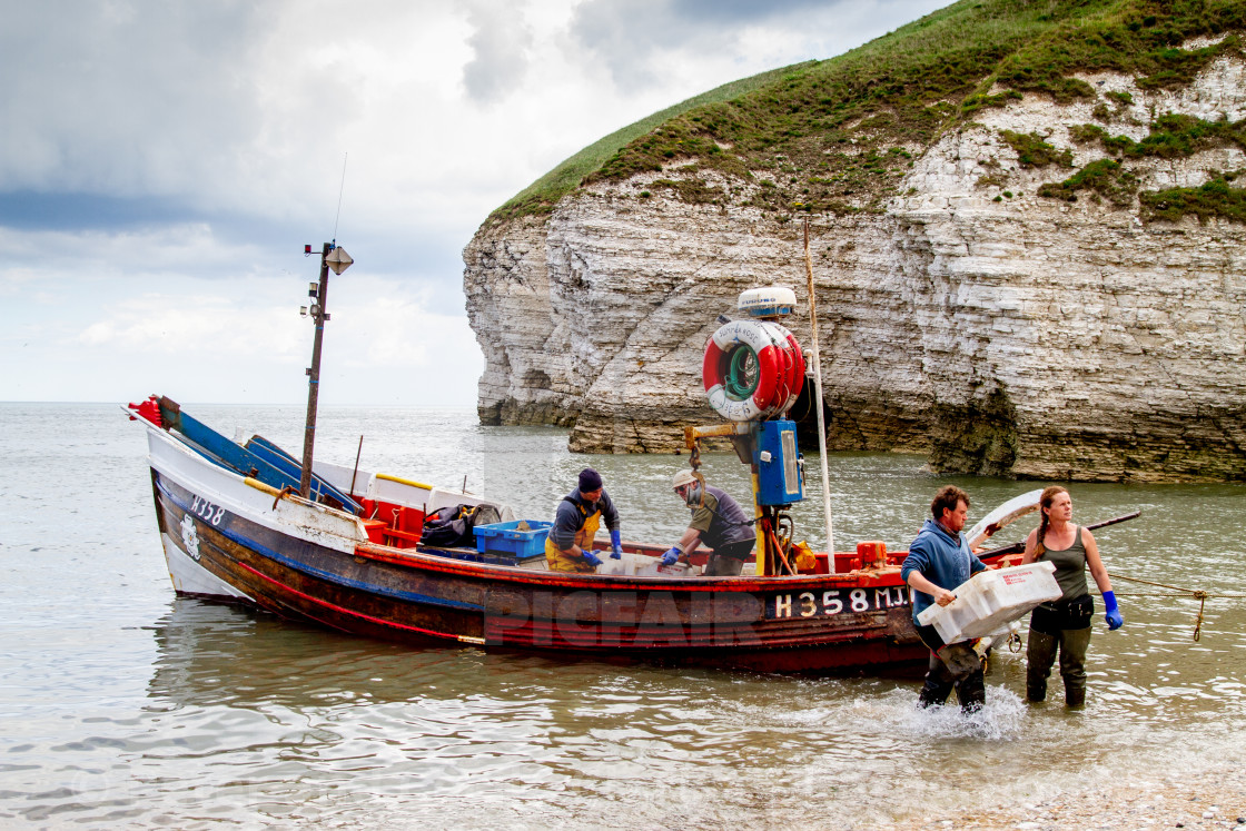 "Fishing Cobbles Unloading their Catch of Crabs at North Landing." stock image