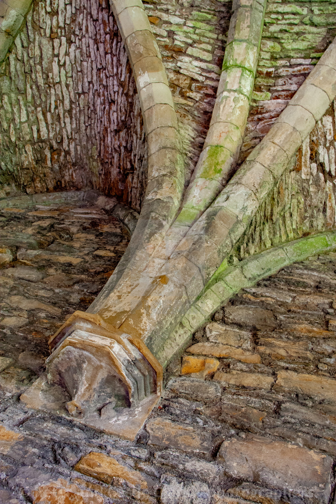 "The Ruins of The Abbey of St Agatha, Easby, Nr Richmond, Yorkshire." stock image