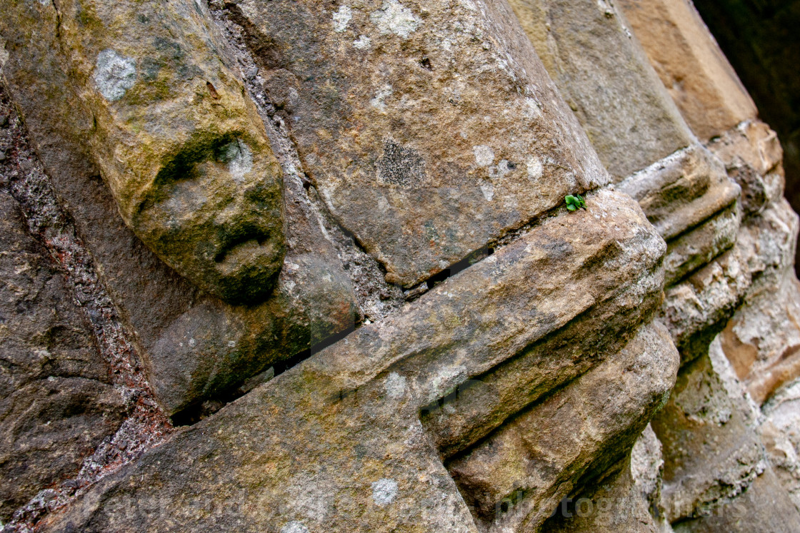 "The Ruins of The Abbey of St Agatha, Easby, Nr Richmond, Yorkshire." stock image