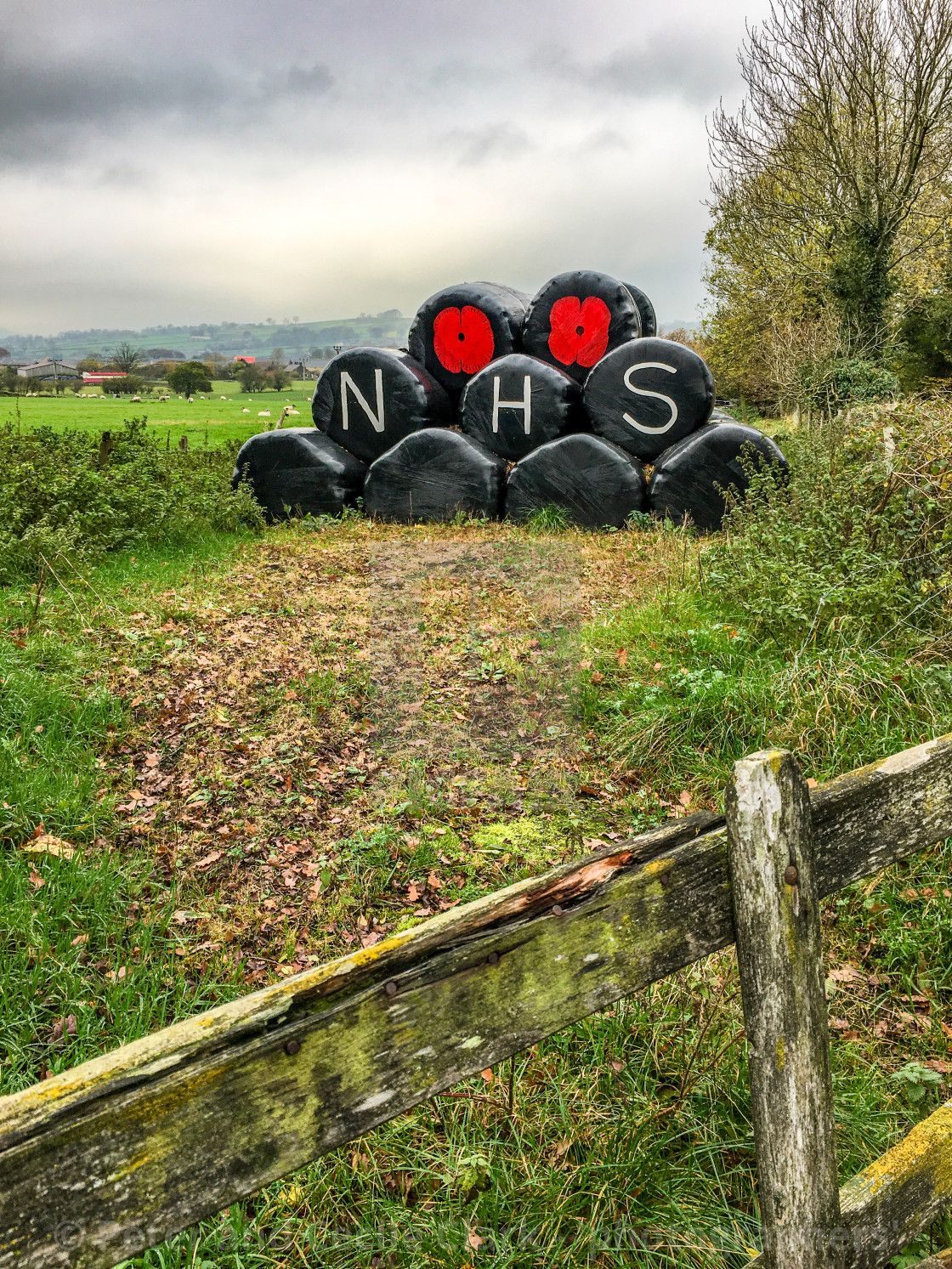 "Poppy Motif and NHS Logo on Plastic Covered Hay Bales. Fence to Foreground," stock image