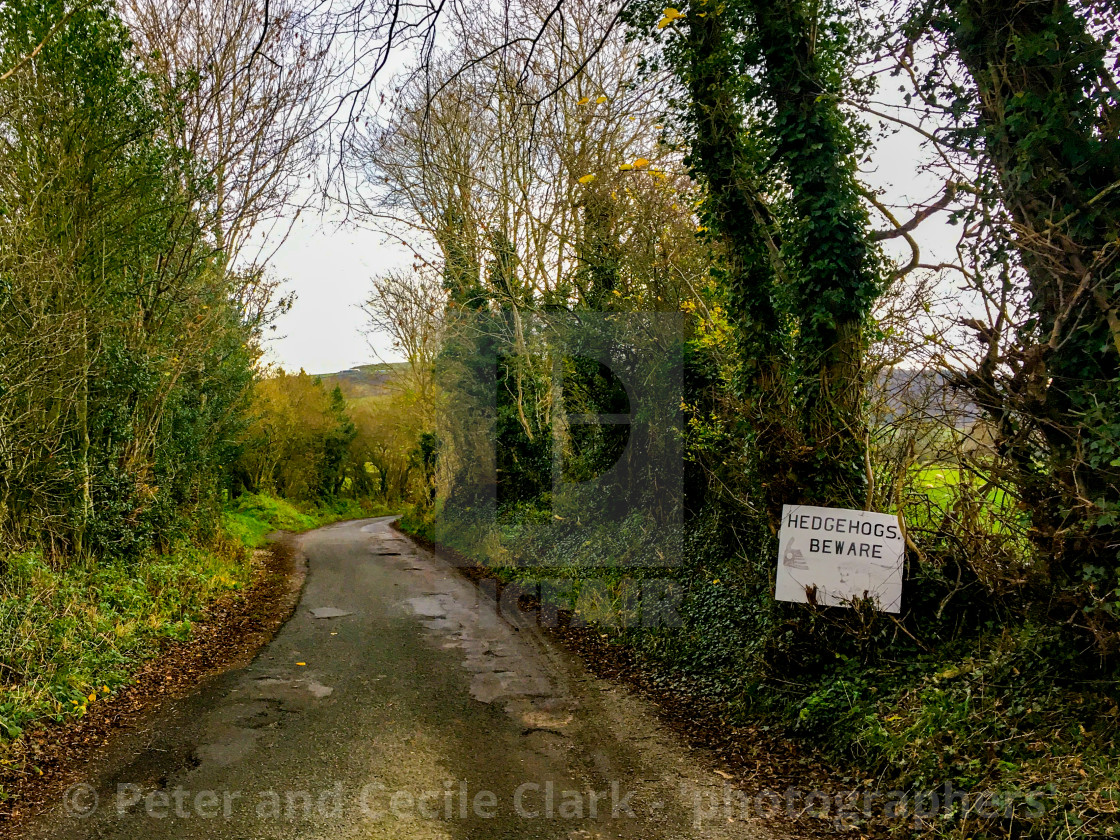 "Hedgehogs Beware Warning Sign on Rural Road." stock image