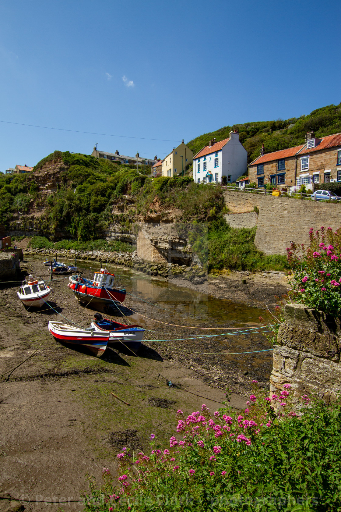 "Fishing Cobbles Moored in Staithes Beck, Fishermens Cottages in the Background. Staithes, Yorkshire, UK." stock image