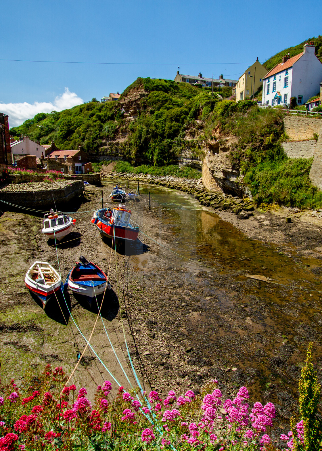 "Fishing Cobbles Moored in Staithes Beck, Fishermens Cottages in the Background. Staithes, Yorkshire, UK." stock image