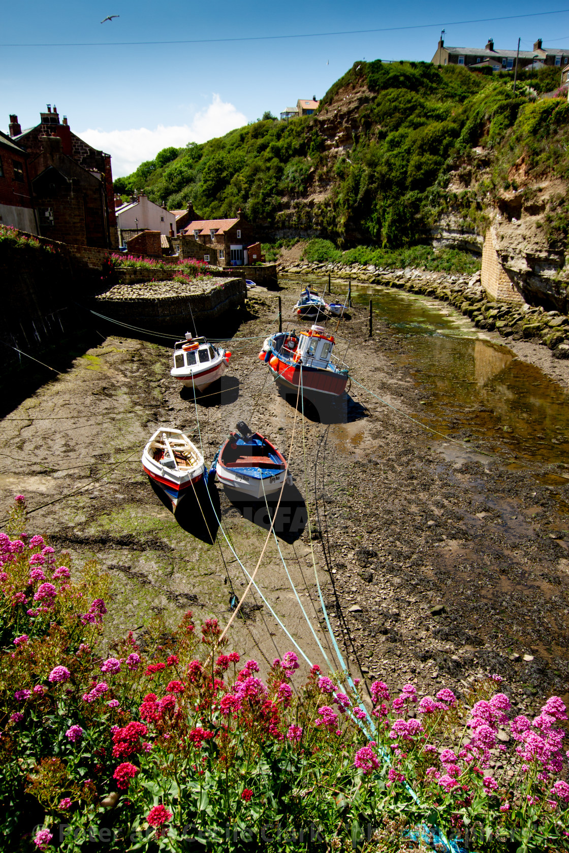 "Fishing Cobbles Moored in Staithes Beck, Staithes, Yorkshire, UK." stock image