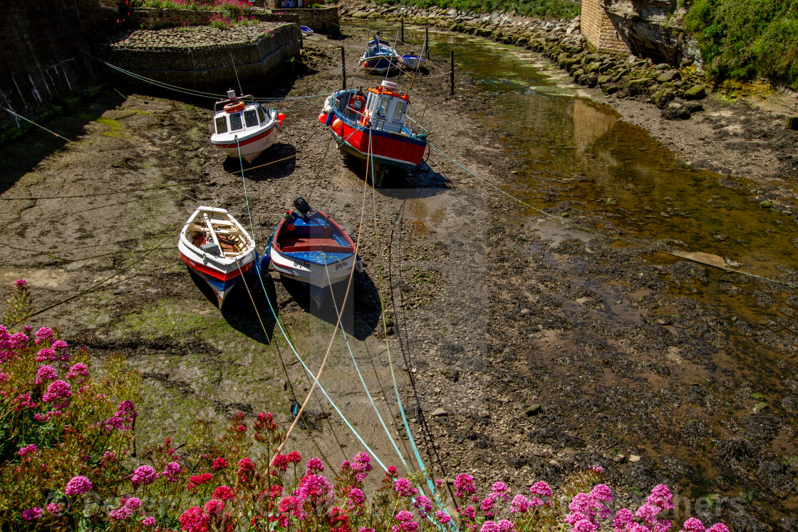 "Fishing Cobbles Moored in Staithes Beck, Staithes, Yorkshire, UK." stock image