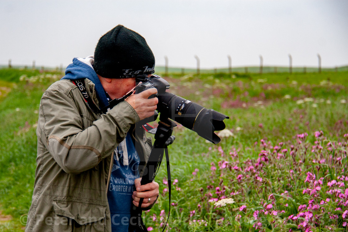 "Nature Photographer on Cliff Top at Bempton Cliffs RSPB Reserve, Yorkshire, England" stock image