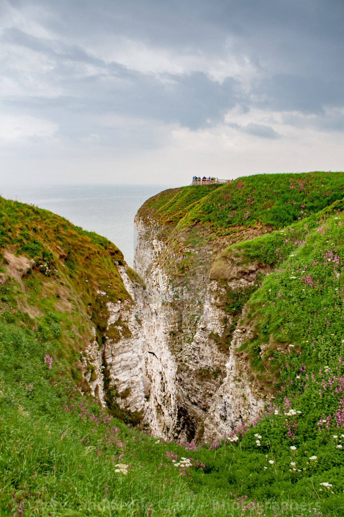 "Spectacular Bempton Cliffs, Yorkshire, England" stock image