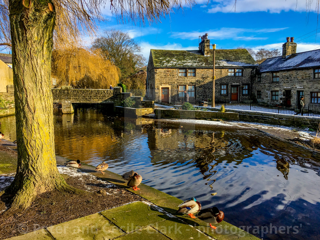 "The Beck, Silsden (Cobbydale) Ducks contemplating a paddle." stock image