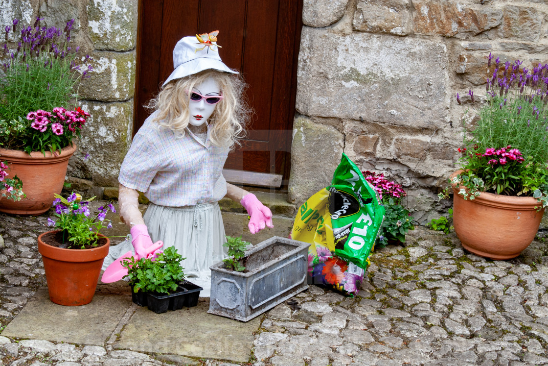 "Kettlewell Scarecrow Festival and Trail. Lady Potting Plants. Yorkshire Dales, England." stock image