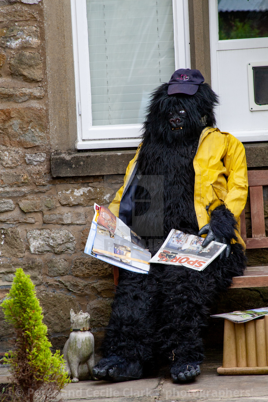 "Kettlewell Scarecrow Festival and Trail, Gorilla in Yellow Jacket. Yorkshire Dales, England." stock image