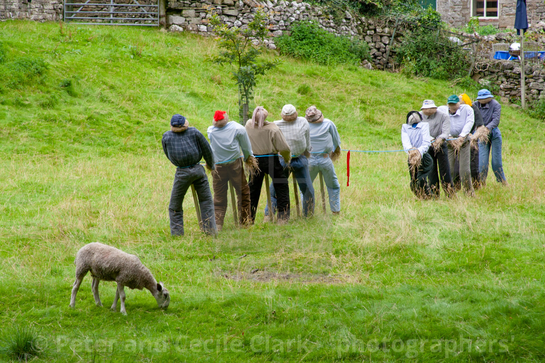 "Kettlewell Scarecrow Festival and Trail, Tug of War. Yorkshire Dales, England." stock image