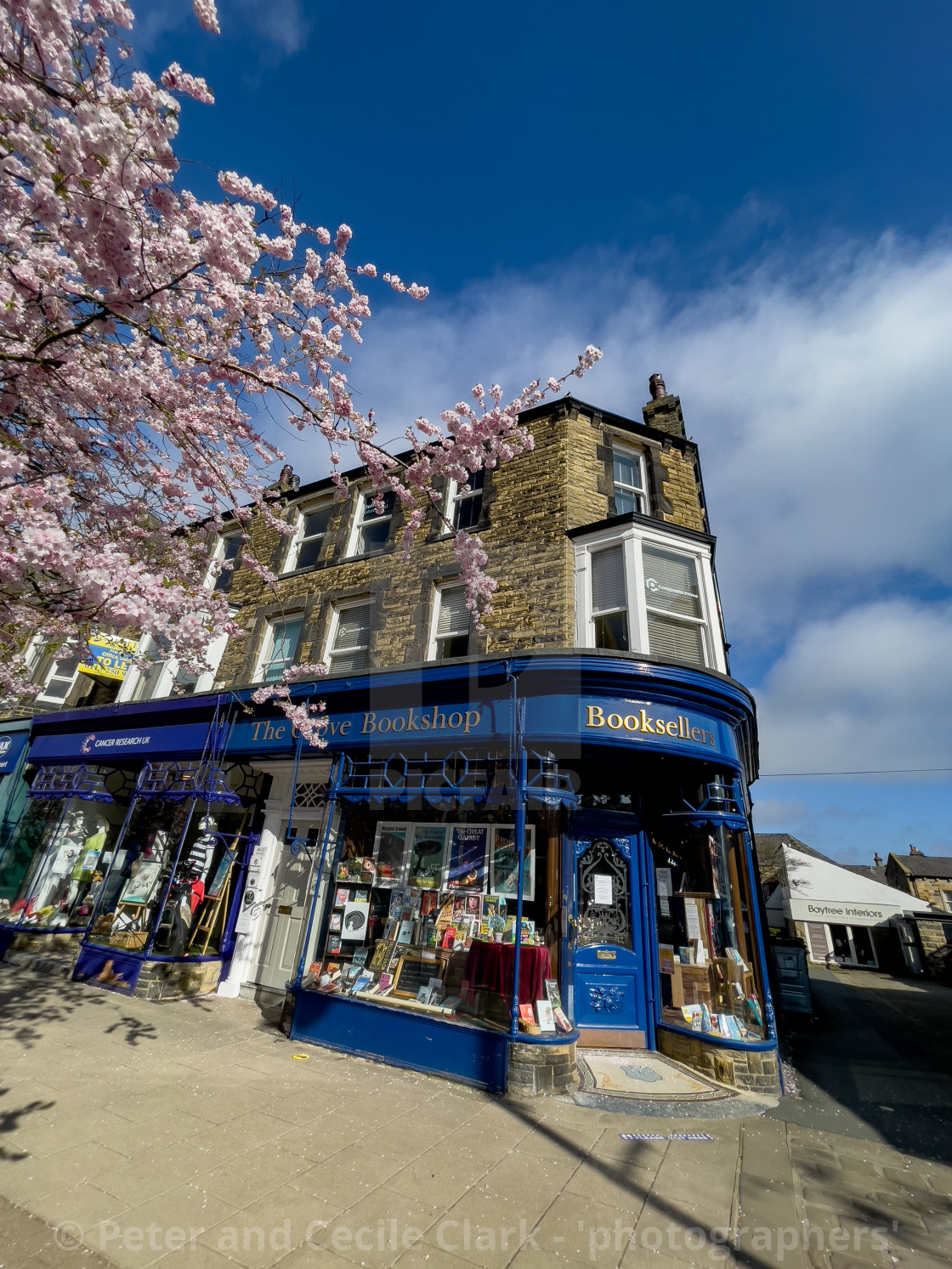 "The Grove Bookshop and Cherry Blossom in Spring, Ilkley," stock image