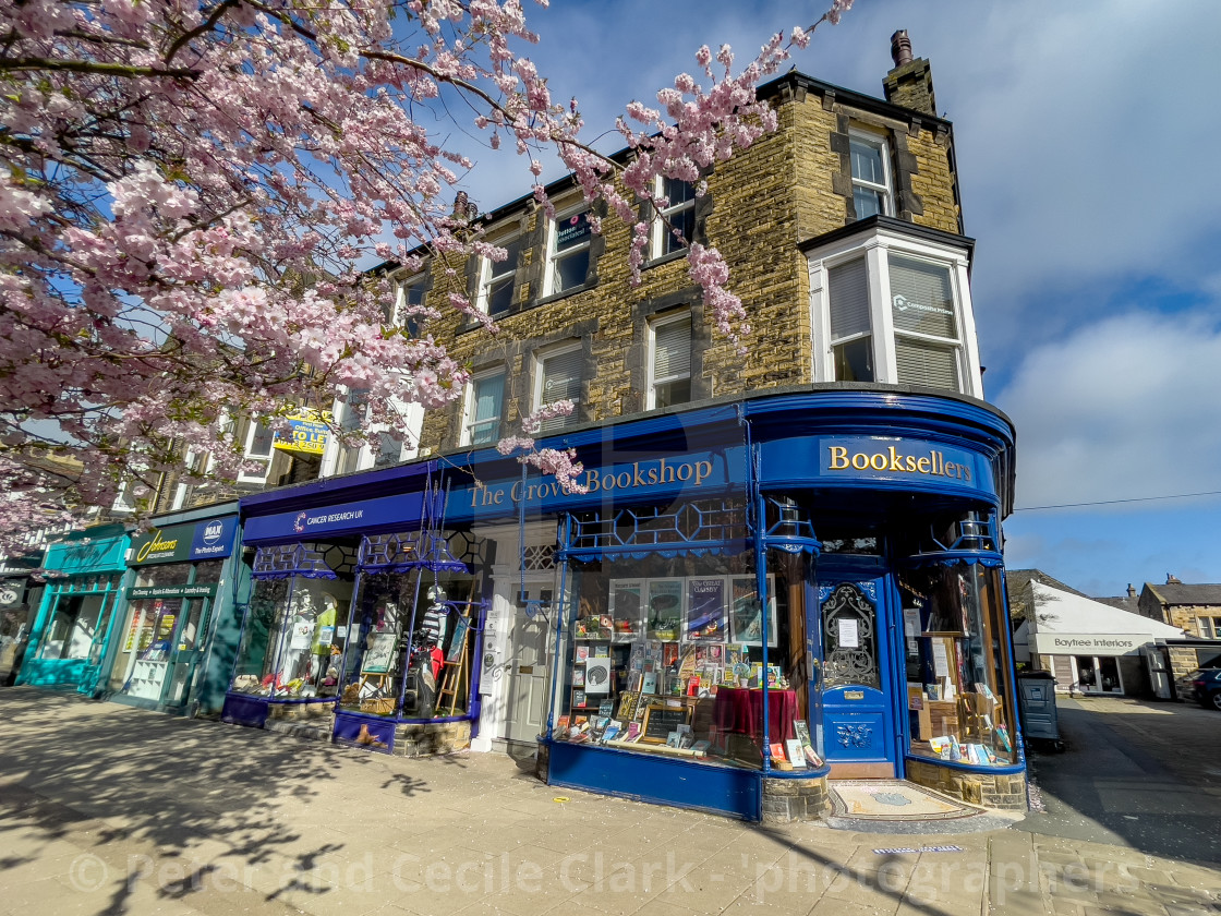 "The Grove Bookshop and Cherry Blossom in Spring, Ilkley," stock image