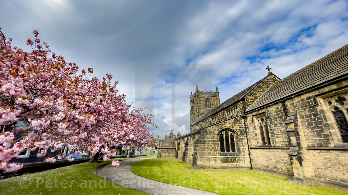 "All Saints Parish Church with Cherry Blossom Ilkley" stock image