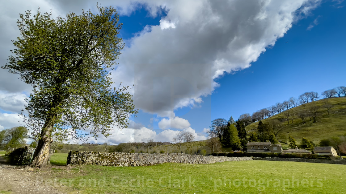 "Dales Way Walk, Woodhouse Lane, Near Burnsall, Yorkshire." stock image