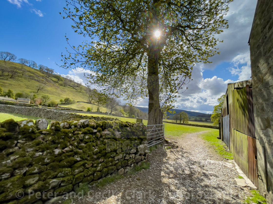 "Dales Way Walk, Woodhouse Lane, Near Burnsall, Yorkshire." stock image