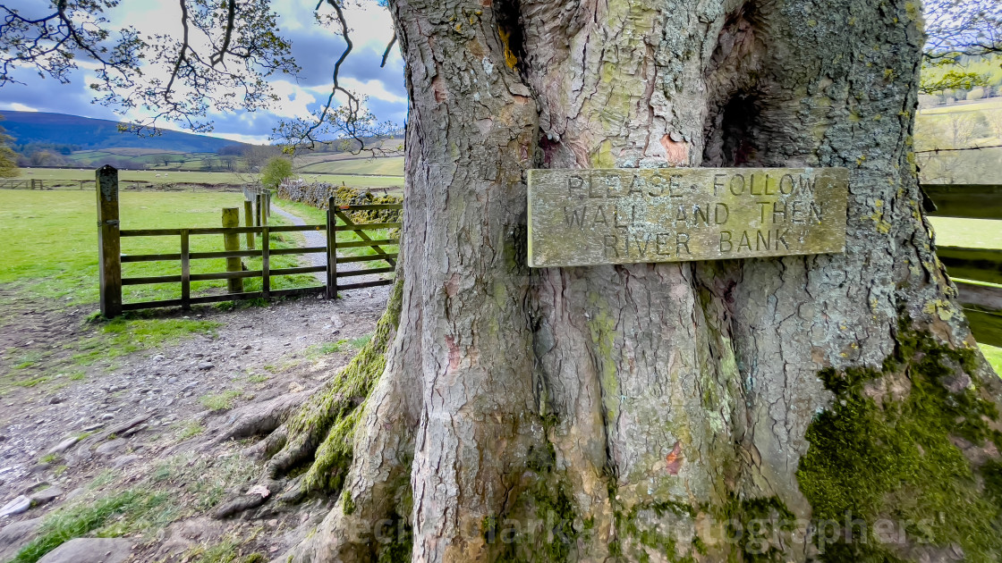 "Dales Way Walk, Instruction Sign on Tree Trunk Near Burnsall, Yorkshire." stock image