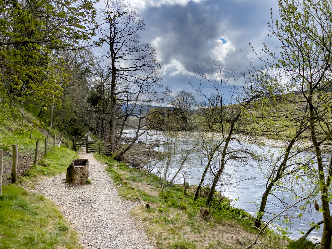 "Dales Way Footpath, Seat carved in Tree Trunk, next to River Wharfe, Yorkshire Dales." stock image