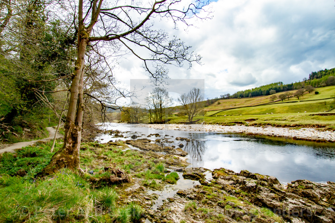 "Dales Way Footpath. Next to River Wharfe near Burnsall, Yorkshire Dales." stock image