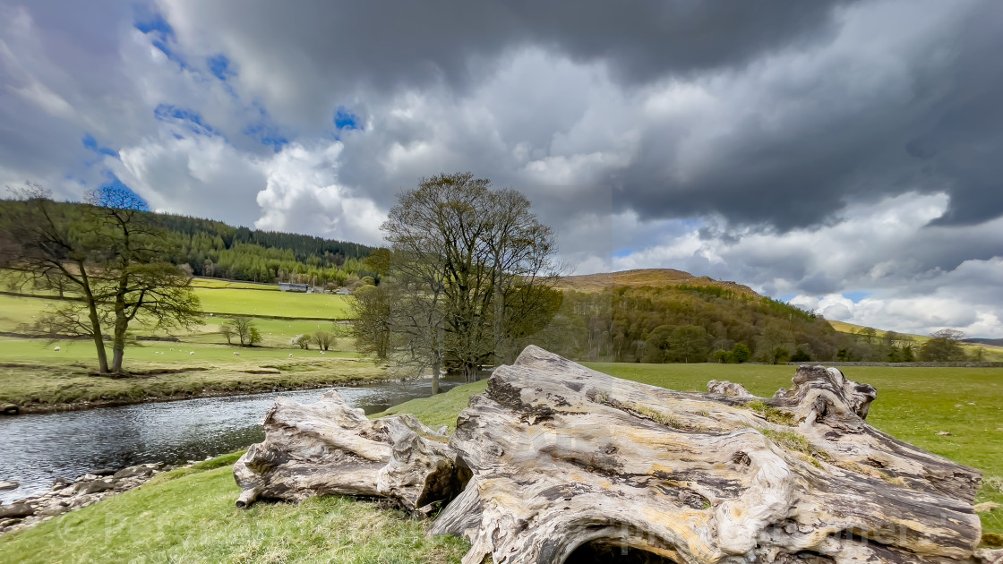 "River Wharfe near Burnsall, Yorkshire Dales." stock image