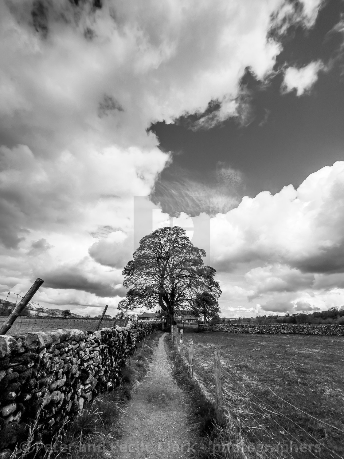 "Dales Way Footpath near Burnsall, Yorkshire Dales." stock image