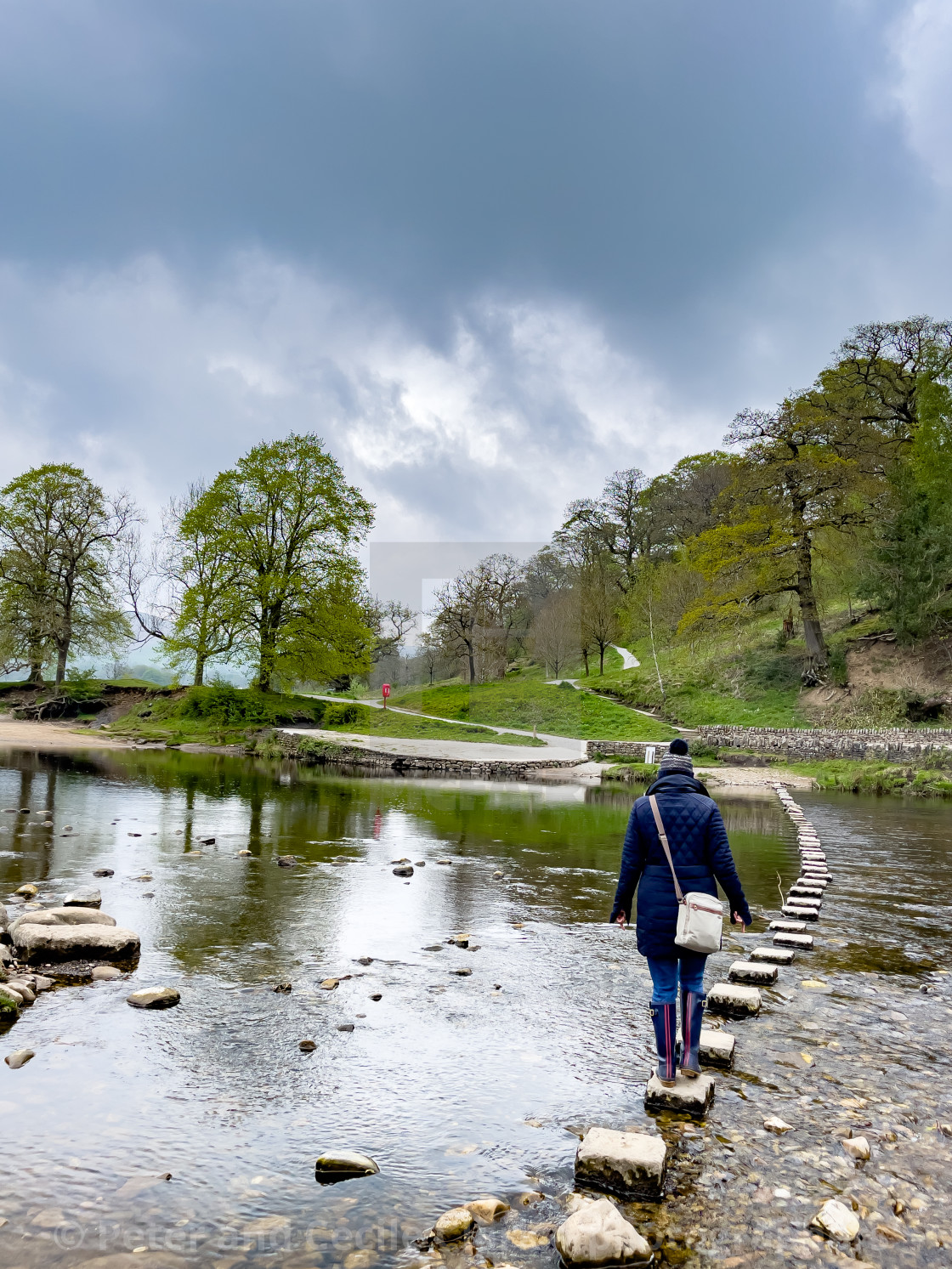 "River Wharfe Stepping Stones with Person Crossing at Bolton Abbey, Yorkshire Dales." stock image