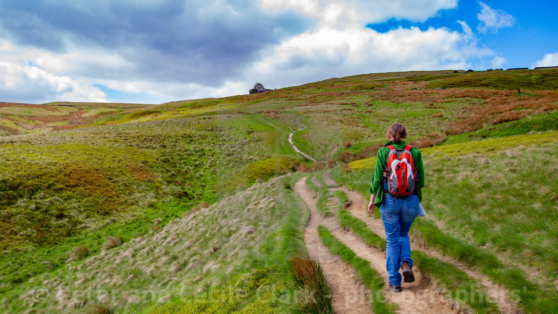 "Bronte Country, Walker on Footpath The Bronte Way to Top Withens, a Derelict Farmhouse," stock image