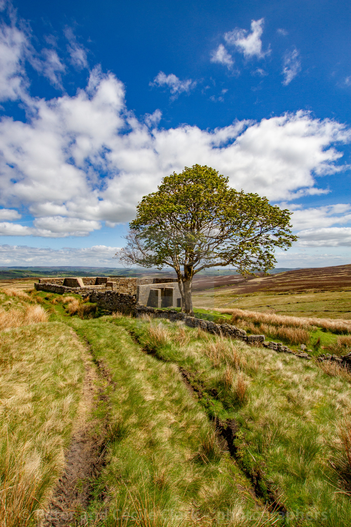 "Bronte Country, Top Withens, a Derelict Farmhouse." stock image