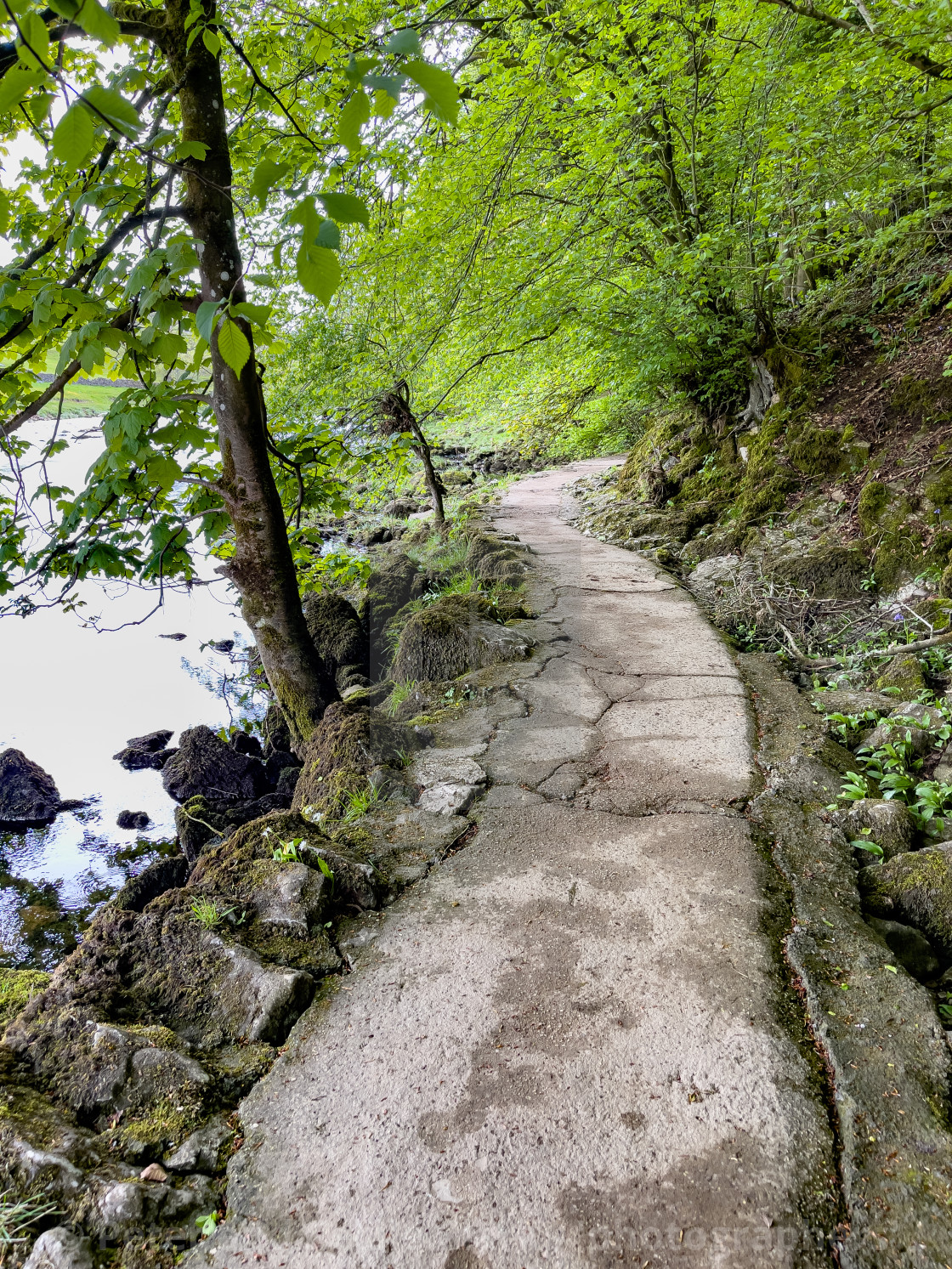 "Dalesway Footpath near River Wharfe, Burnsall in the Yorkshire Dales." stock image