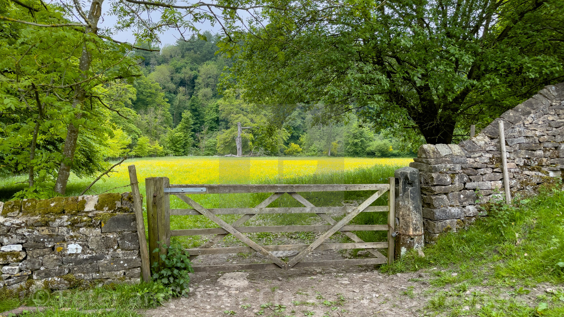 "Meadow next to River Swale, Richmond, North Yorkshire." stock image