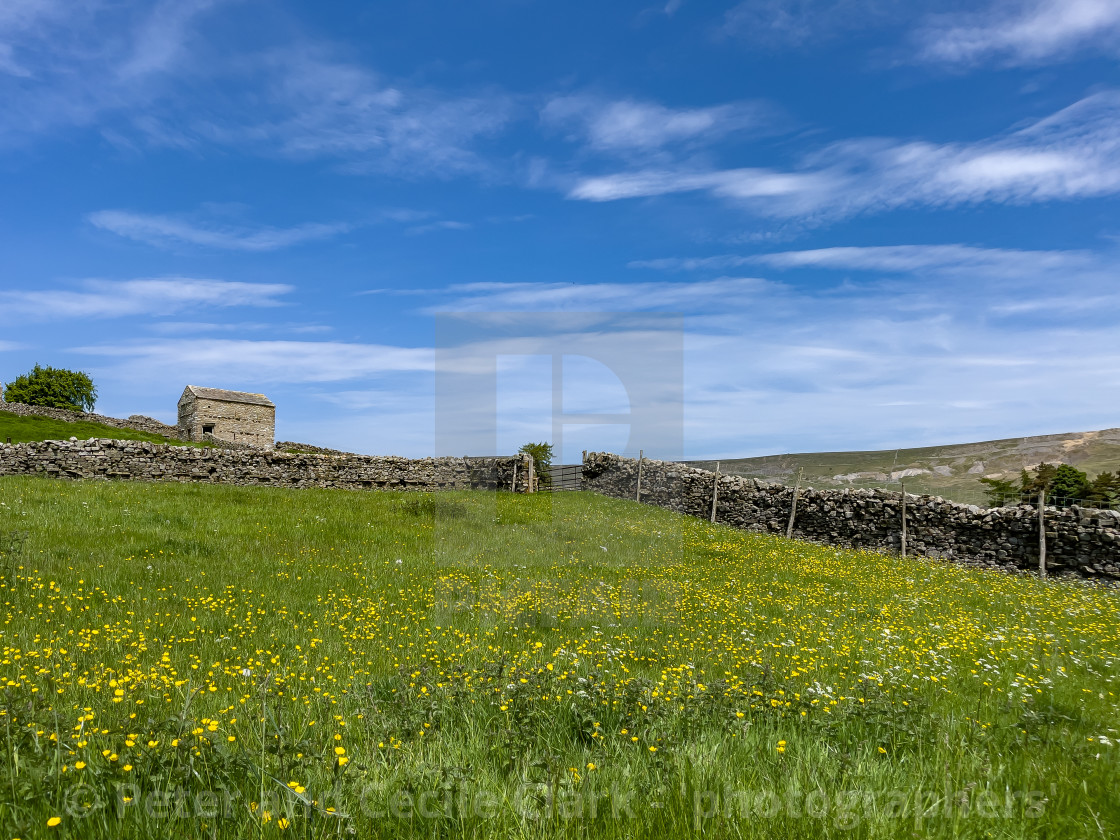 "Swaledale Wild Flower Meadow and Field Barn." stock image