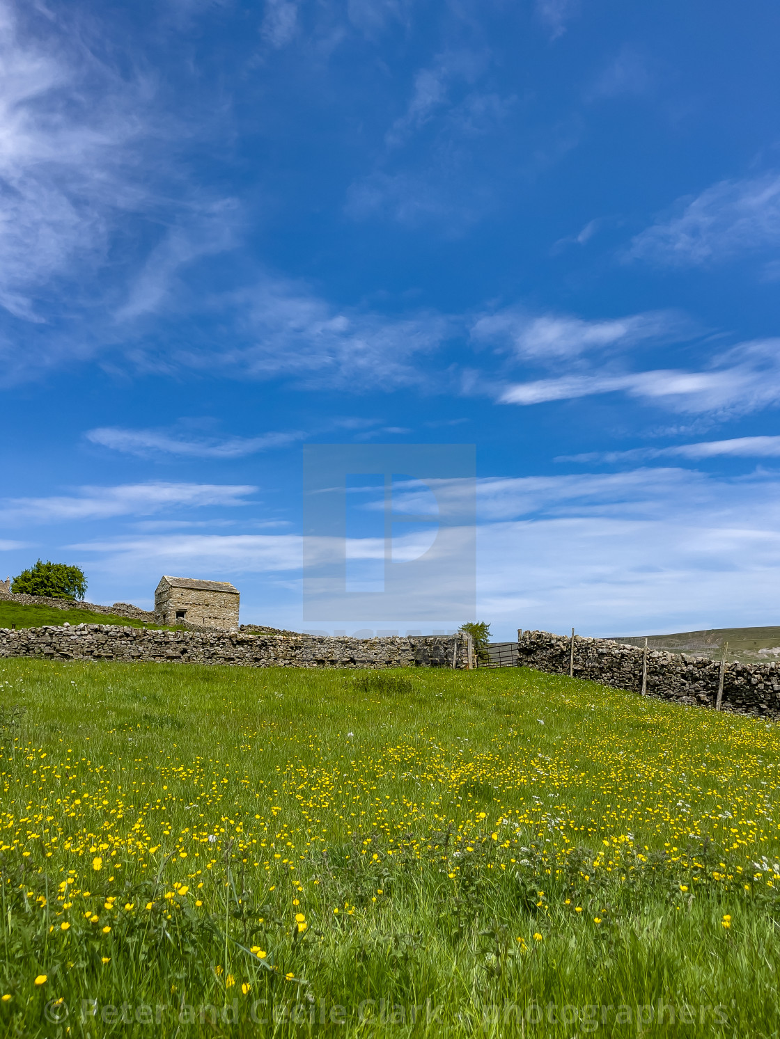 "Swaledale Wild Flower Meadow and Field Barn." stock image